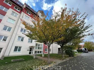 Pronájem bytu 3+kk, Brno, Molákova, 78 m2