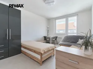 Prodej bytu 1+1, Bojkovice, Mánesova II, 30 m2