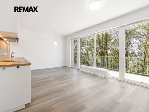 Pronájem bytu 2+kk, Praha - Vysočany, Pod Krocínkou, 59 m2