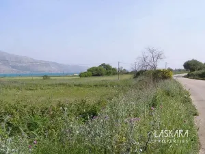 Prodej komerčního pozemku, Palliki, Řecko, 10197 m2