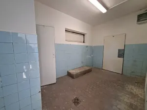 Pronájem skladu, Petříkov, 47 m2