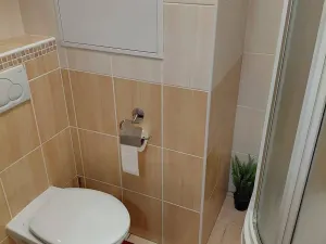 Pronájem bytu 1+kk, Pardubice, Bělehradská, 40 m2