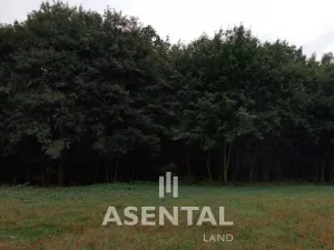 Prodej pozemku, Petřvald, Na Úbočí, 4349 m2