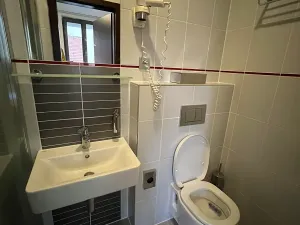 Pronájem bytu 1+kk, Brno, Francouzská, 18 m2