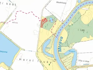 Prodej lesa, Veselí nad Moravou, 6378 m2