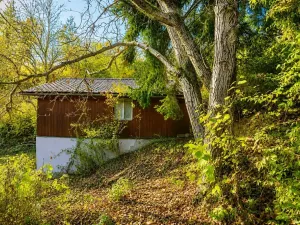 Prodej chaty, Heroltice, 79 m2