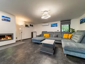 Prodej rodinného domu, Plzeň, Pod Radyní, 303 m2