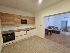Pronájem bytu 2+kk, České Budějovice - České Budějovice 1, Dr. Stejskala, 60 m2