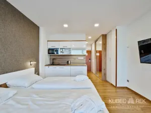 Prodej apartmánu, Frymburk, 30 m2