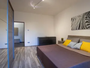 Pronájem bytu 2+kk, Praha - Žižkov, Jana Želivského, 56 m2