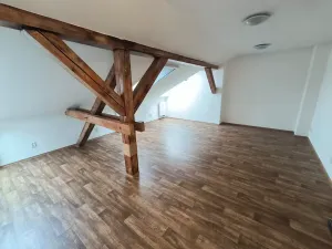 Pronájem bytu 1+kk, Ústí nad Labem, Londýnská, 52 m2