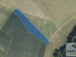 Prodej podílu pole, Doubravice, 36202 m2