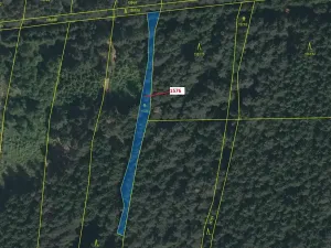 Dražba pozemku, Nová Bystřice, 737 m2