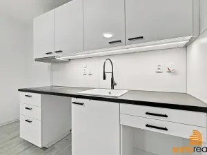 Pronájem bytu 2+kk, Ústí nad Labem, Resslova, 45 m2