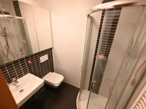 Pronájem bytu 1+1, Luhačovice, 30 m2