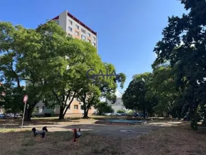 Prodej bytu 2+1, Hodonín, Sv. Čecha, 60 m2