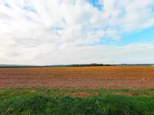 Prodej komerčního pozemku, Zruč nad Sázavou, 3061 m2