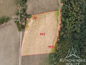 Prodej komerčního pozemku, Pertoltice, 51001 m2