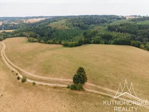 Prodej komerčního pozemku, Pertoltice, 51001 m2