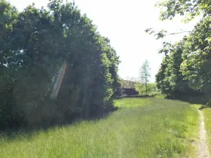 Prodej pozemku, Staré Křečany, 1188 m2