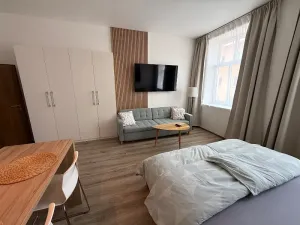 Pronájem bytu 1+kk, Brno, Francouzská, 40 m2