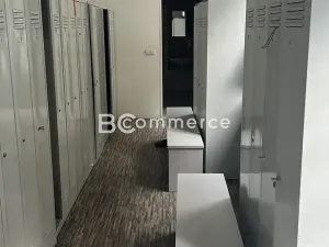 Pronájem výrobních prostor, Brno, 670 m2