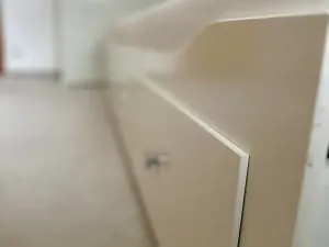 Pronájem rodinného domu, Bašť, Za Vilou, 300 m2