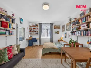 Prodej bytu 1+kk, Praha - Holešovice, U parního mlýna, 30 m2