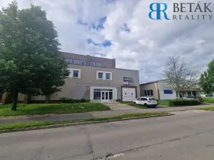 Pronájem obchodního prostoru, Přerov - Přerov II-Předmostí, Teličkova, 257 m2
