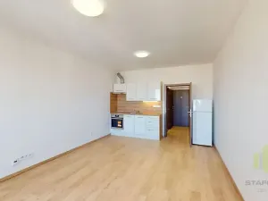 Pronájem bytu 1+kk, Olomouc, Wolkerova, 30 m2