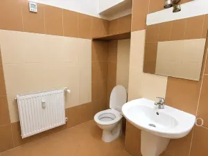 Pronájem bytu 3+kk, Písek, Pražská, 71 m2