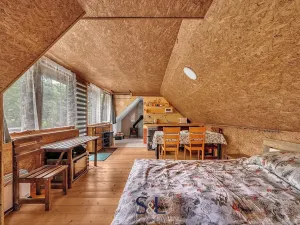 Prodej zemědělské usedlosti, Horní Planá, 200 m2