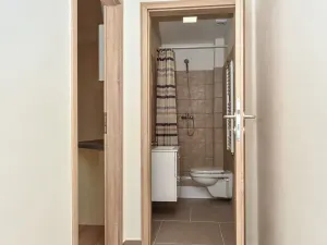 Pronájem bytu 2+kk, Plzeň, Skvrňanská, 37 m2