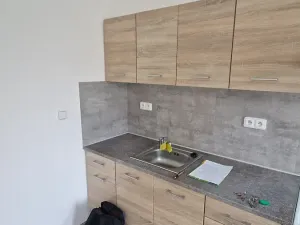 Pronájem bytu 1+kk, Teplice, Emilie Dvořákové, 28 m2