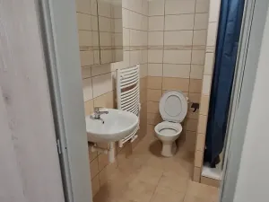 Pronájem bytu 1+kk, Teplice, Emilie Dvořákové, 28 m2