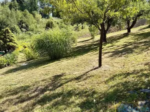 Prodej chaty, Vysoké Mýto, Spálenec, 37 m2