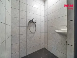 Pronájem výrobních prostor, Dubno, 150 m2