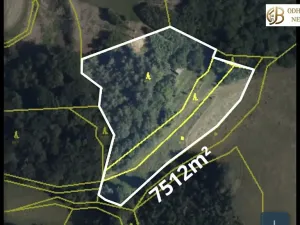 Prodej louky, Dlouhomilov, 7512 m2