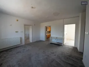 Prodej zemědělského objektu, Vlasatice, 5889 m2