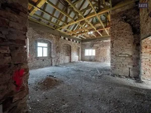 Prodej zemědělské usedlosti, Vlasatice, 5889 m2