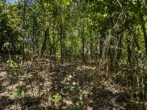 Prodej pozemku pro bydlení, Lom, Tyršova stezka, 888 m2