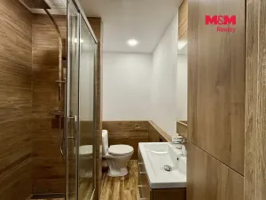 Prodej bytu 2+1, Český Těšín, Mládežnická, 43 m2
