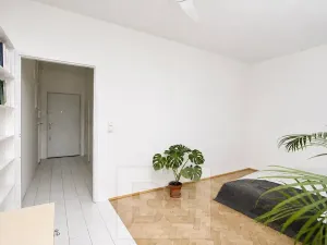 Pronájem bytu 1+kk, Praha - Holešovice, Vinařská, 34 m2