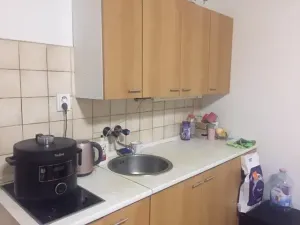 Pronájem bytu 1+kk, Praha - Podolí, Na dolinách, 30 m2