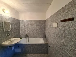 Prodej rodinného domu, Jenišovice, 283 m2