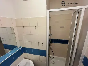 Prodej bytu 2+kk, Brno, Cejl, 32 m2