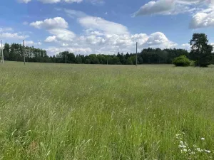 Dražba pole, Planá, 1400 m2