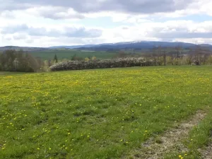 Dražba louky, Staré Město, 10063 m2