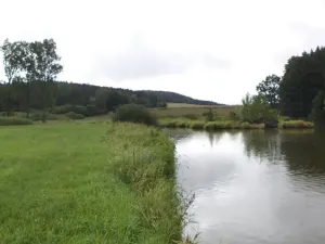 Dražba pozemku, Kocelovice, 5241 m2