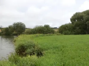 Dražba pozemku, Kocelovice, 5241 m2